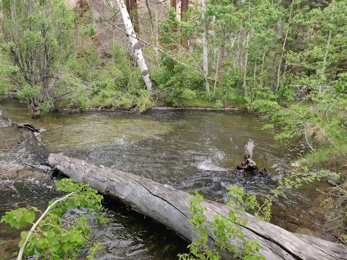 Tuff Campground 5