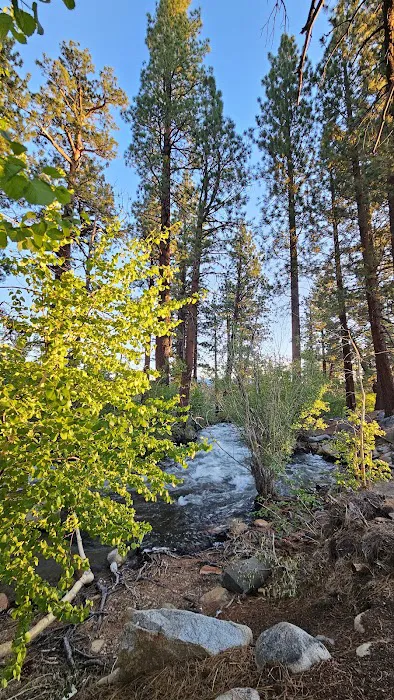French Camp Campground 6