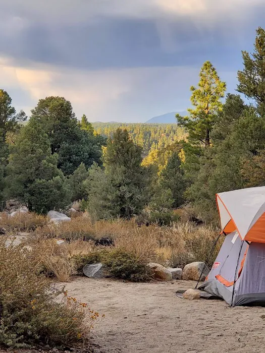French Camp Campground 5