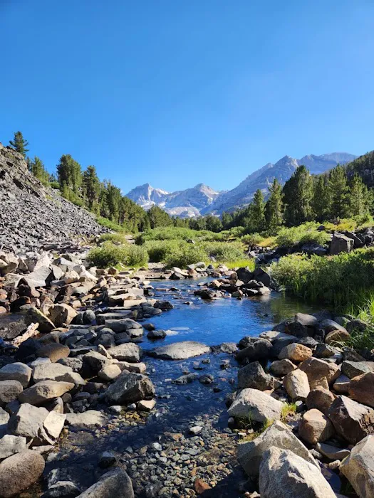 French Camp Campground 8