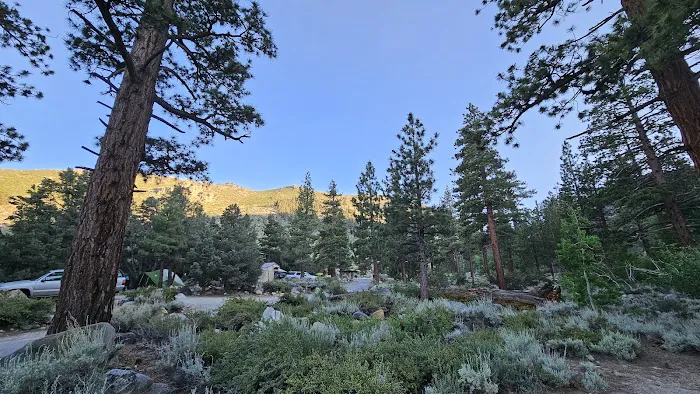 French Camp Campground 9