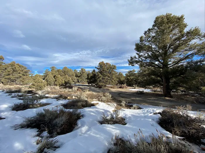 Holiday Campground 1