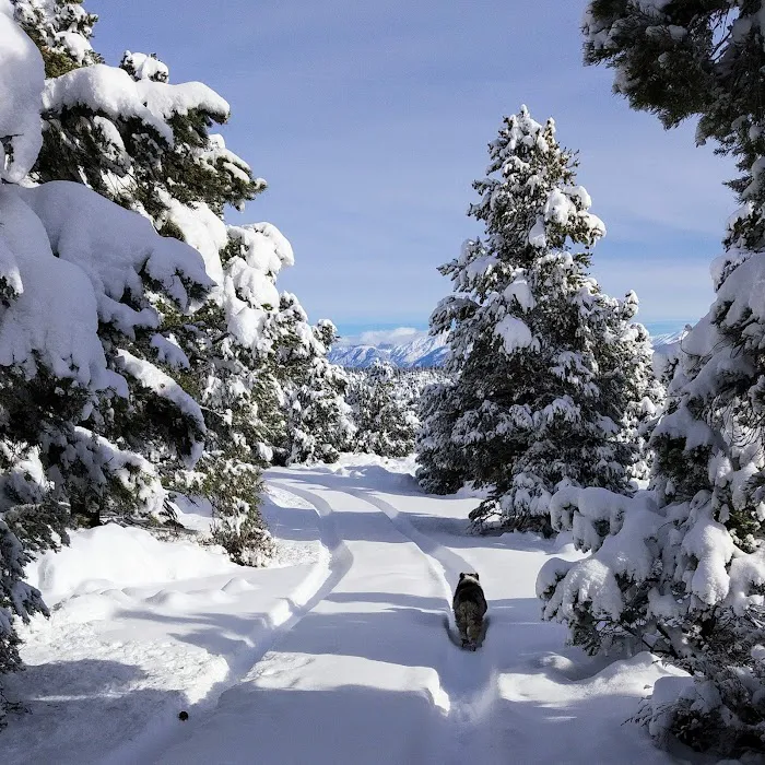 Holiday Campground 5