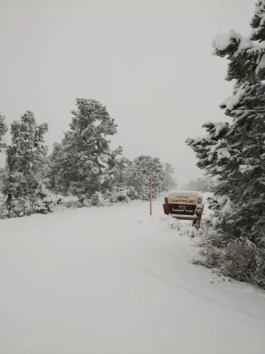 Holiday Campground 3
