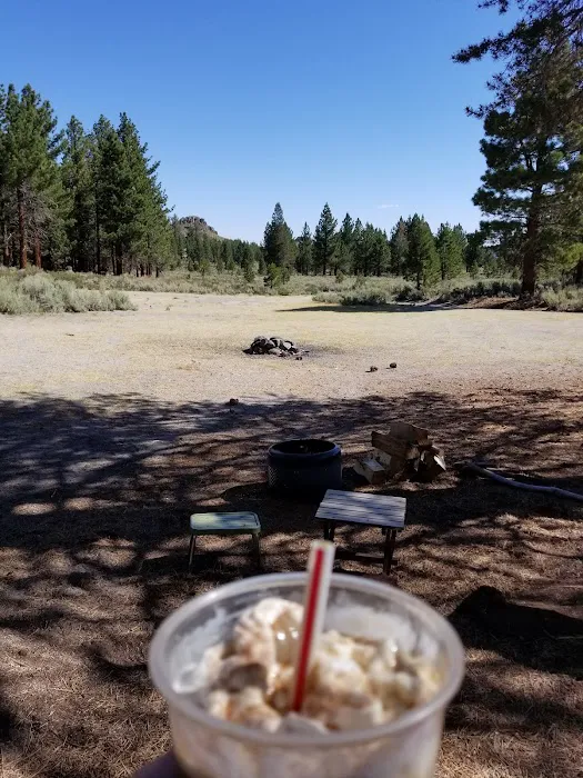 Sagehen Meadows Campground 5