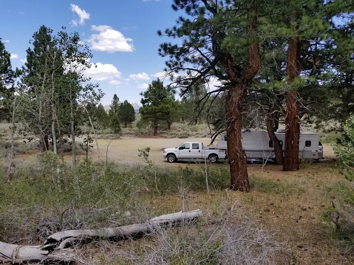 Sagehen Meadows Campground 3