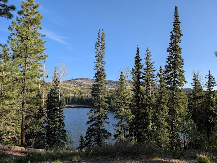 Posey Lake Campground 2