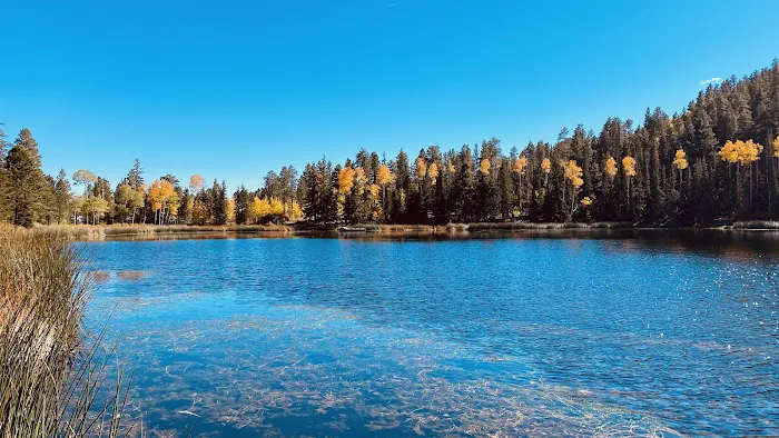 Posey Lake Campground 1