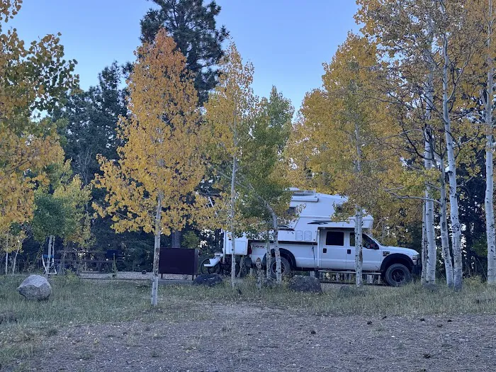 Posey Lake Campground 5