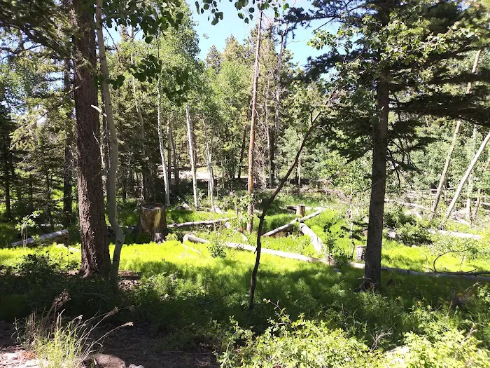 Posey Lake Campground 7