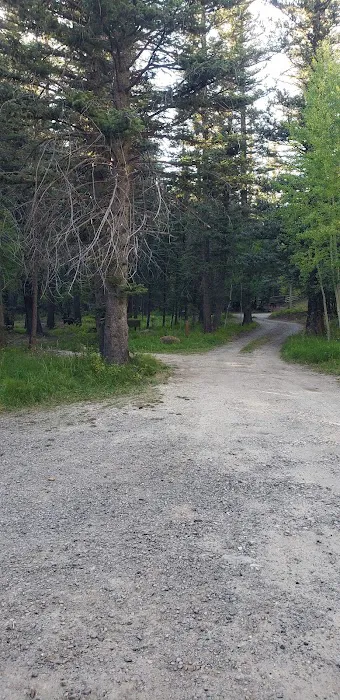 Blue Spruce Campground 0