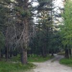 Blue Spruce Campground