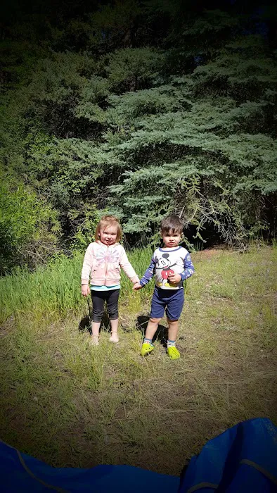 Blue Spruce Campground 7