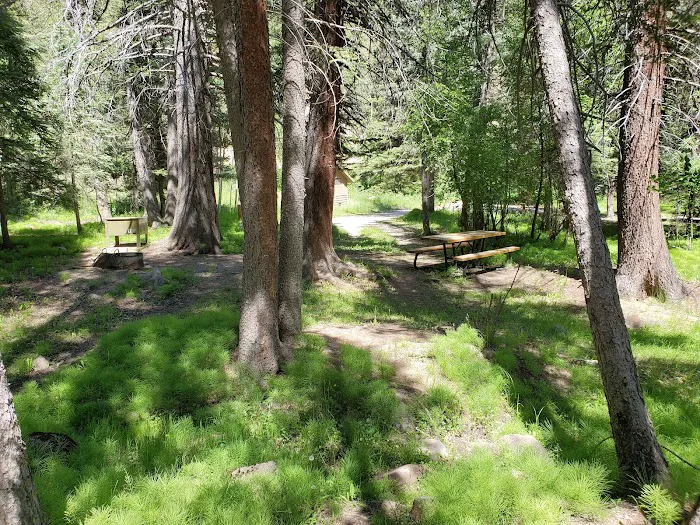 Blue Spruce Campground 8