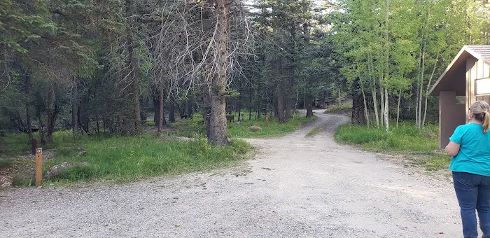 Blue Spruce Campground 9