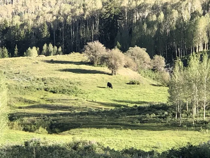 Lower Barker Reservoir (recgovnpsdata) 0
