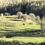 Lower Barker Reservoir (recgovnpsdata)