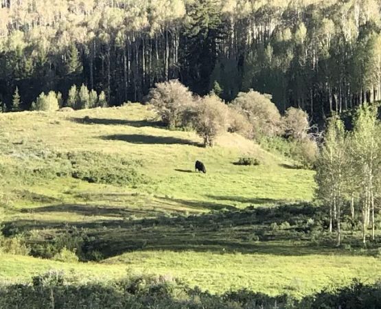 Lower Barker Reservoir (recgovnpsdata)