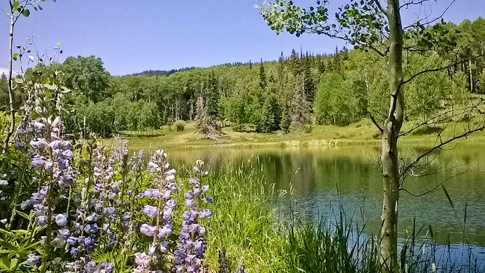 Joe Lay Reservoir (recgovnpsdata) 1