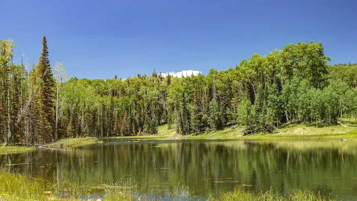 Joe Lay Reservoir (recgovnpsdata) 0