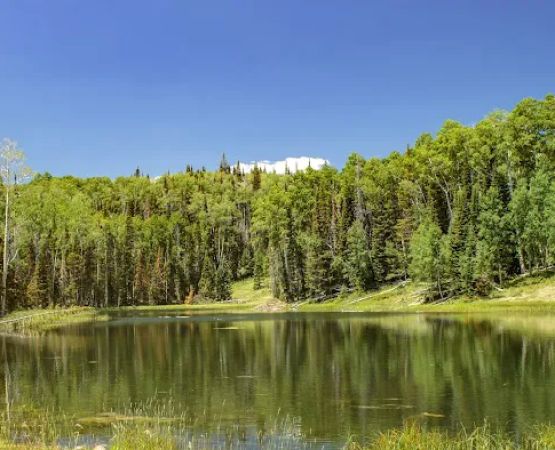 Joe Lay Reservoir (recgovnpsdata)