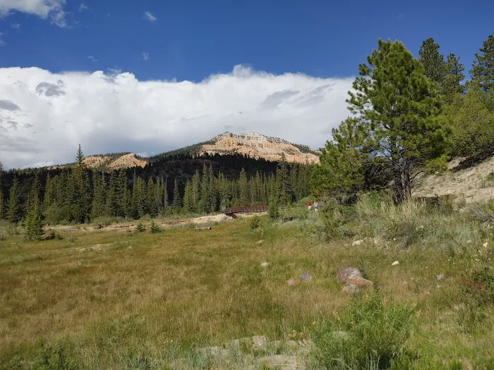 Pine Lake Campground 3