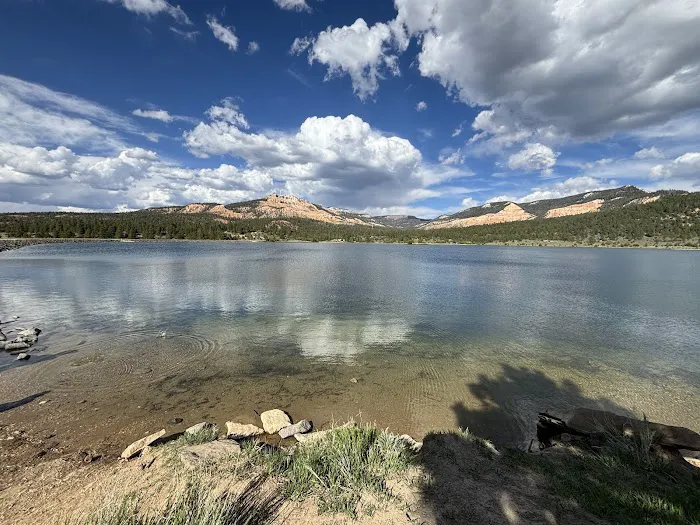 Pine Lake Campground 1