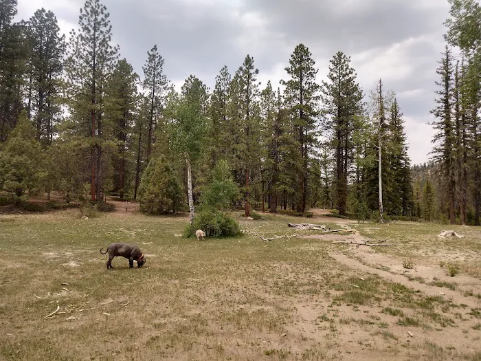 Pine Lake Campground 2