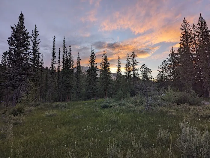 Pine Lake Campground 9