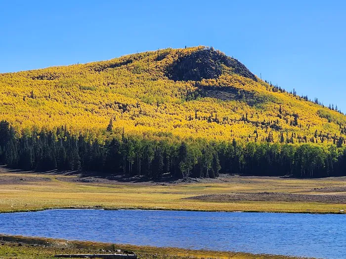 Manning Meadow CUA Dispersed 2