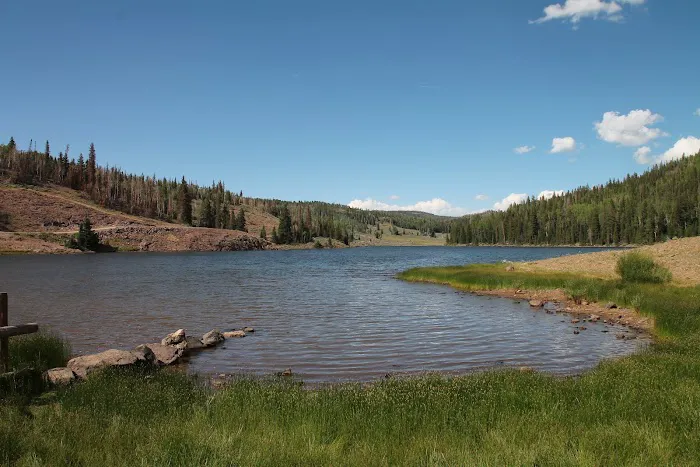 Manning Meadow CUA Dispersed 1