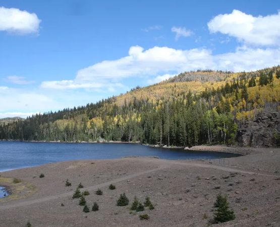 Manning Meadow CUA Dispersed