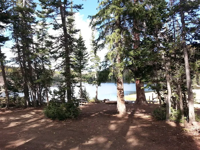 Manning Meadow CUA Dispersed 5