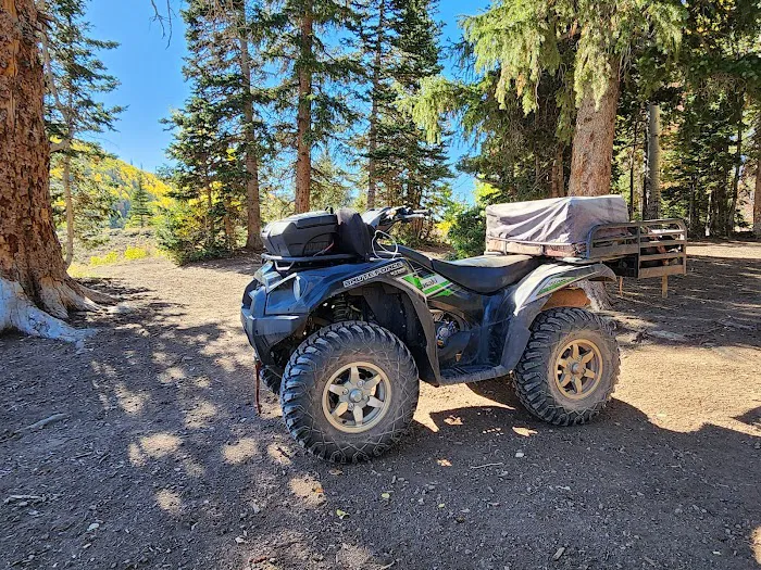 Manning Meadow CUA Dispersed 6