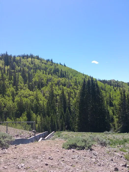Manning Meadow CUA Dispersed 8