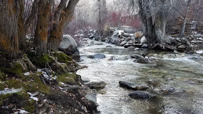 Camp Lamoille 3