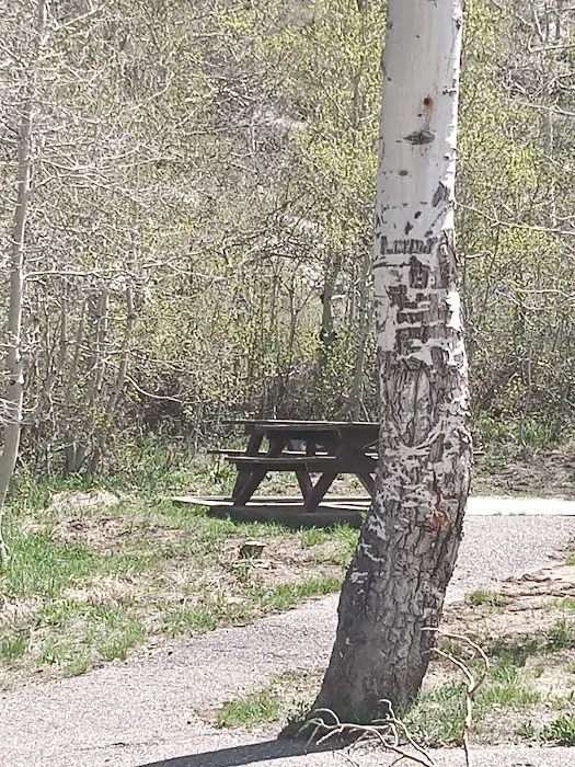 Terraces Campground-Picnic Area 4