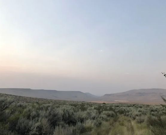 East Rock Spring Campground