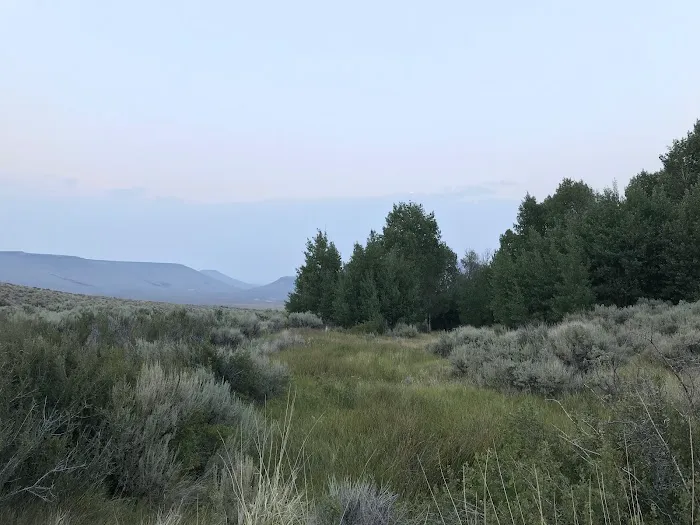 East Rock Spring Campground 3