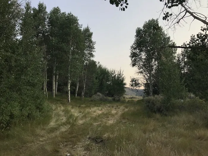 East Rock Spring Campground 4