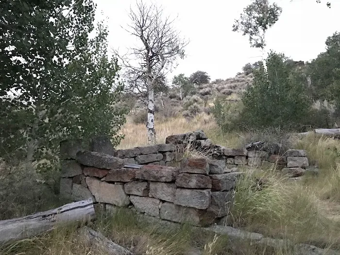 East Rock Spring Campground 7