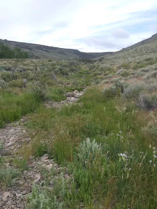 East Rock Spring Campground 6