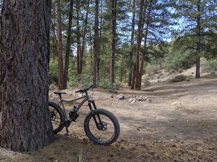 Cabin Pines Campground 2