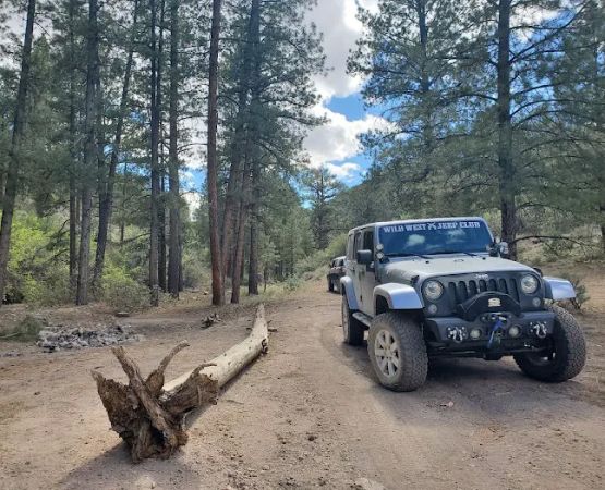Cabin Pines Campground