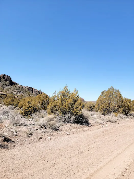 Big Rock Wilderness Area North Campground 2