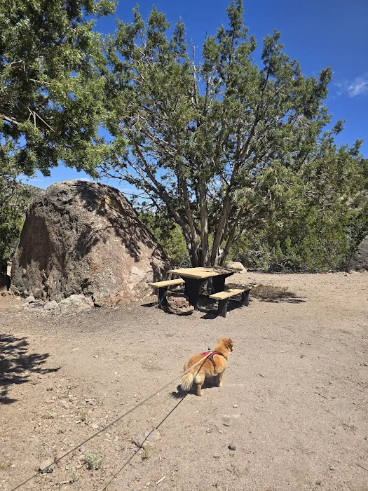 Big Rock Wilderness Area North Campground 0
