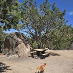 Big Rock Wilderness Area North Campground