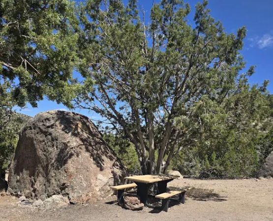 Big Rock Wilderness Area North Campground