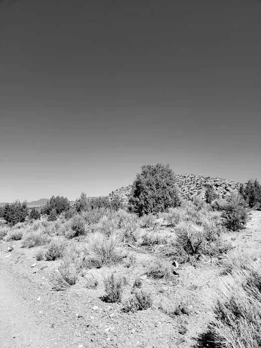 Big Rock Wilderness Area North Campground 1