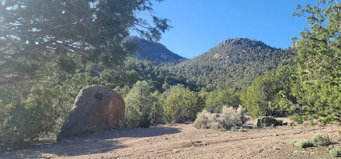Big Rock Wilderness Area North Campground 6